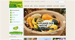 Desktop Screenshot of blumen-ostmann.de